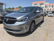 Buick GL8 2020