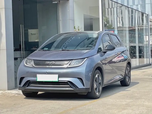 BYD Dolphin 2024