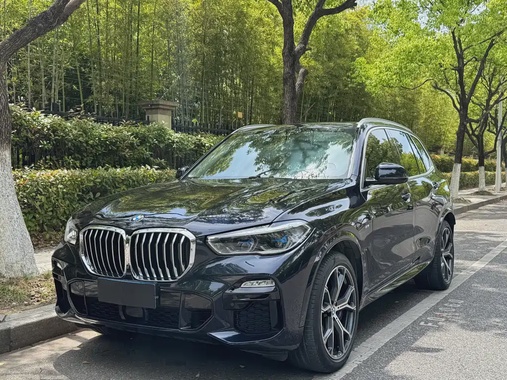 BMW X5 2019