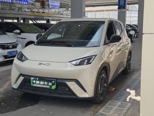 BYD Seagull 2024