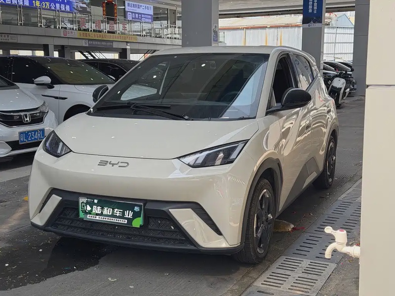 BYD Seagull