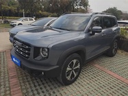 Haval Big Dog 2021