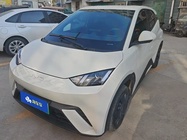 BYD Seagull 2024