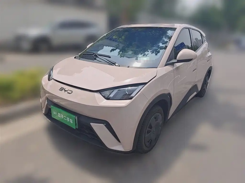 BYD Seagull