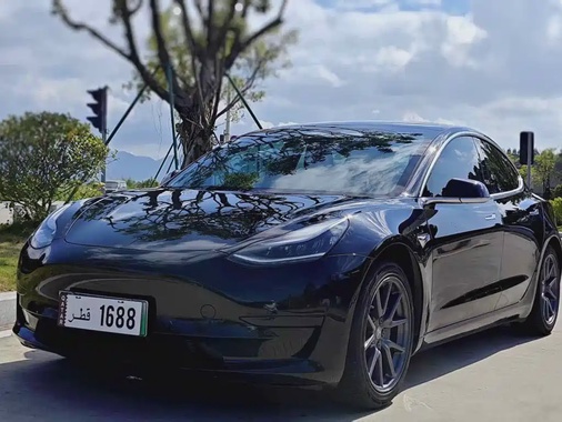 Tesla Model 3 2020