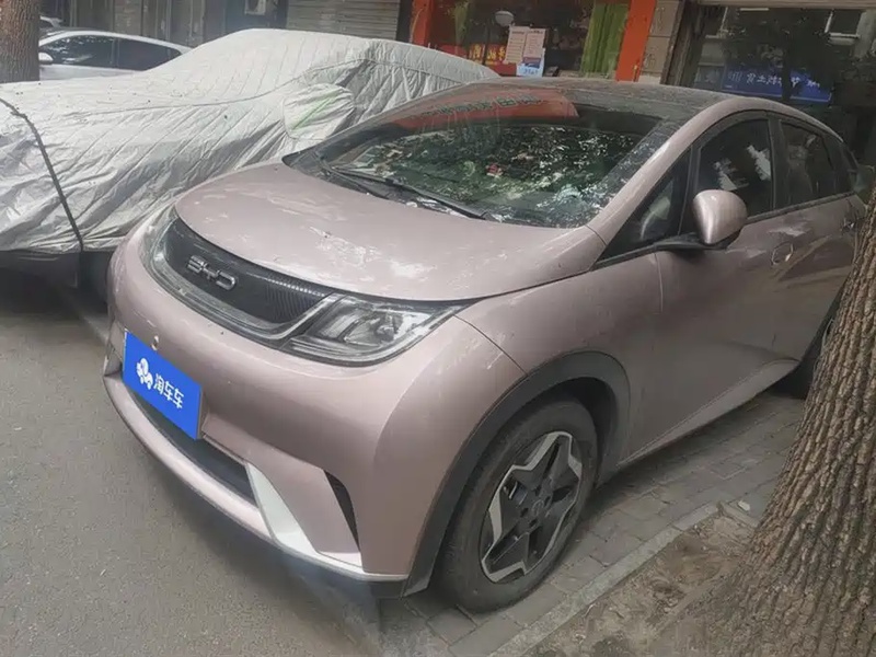 BYD Dolphin