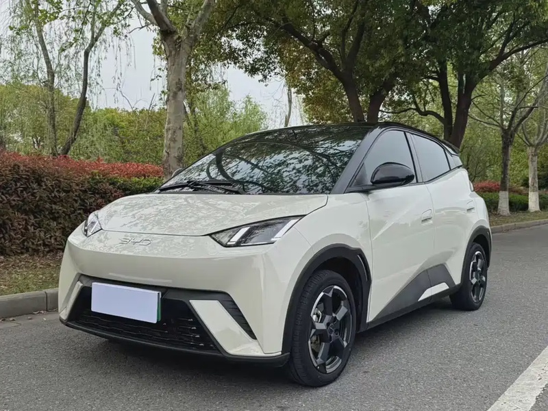 BYD Seagull
