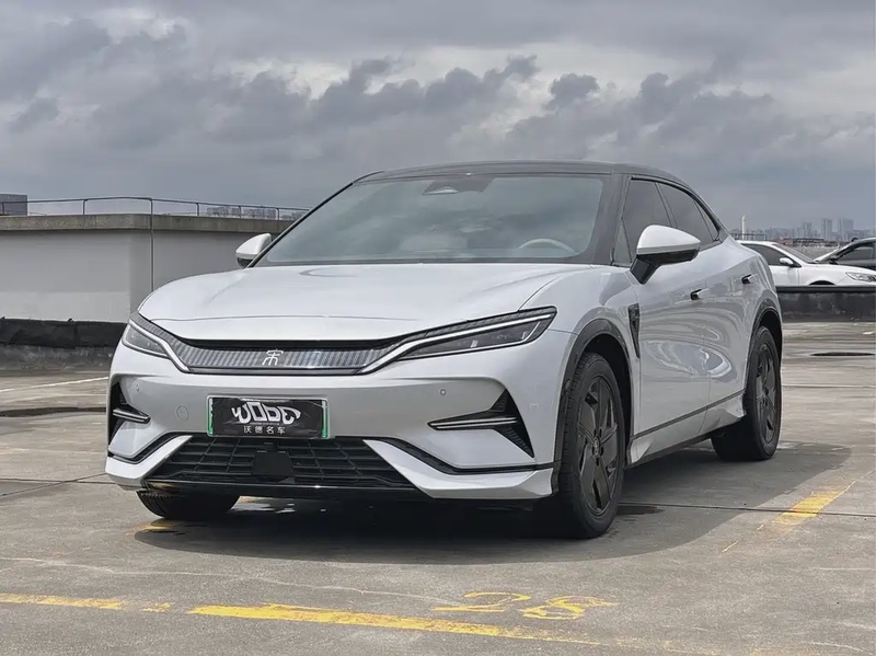 BYD L