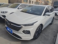 Wuling Victory 2021