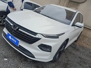 Wuling Victory 2021
