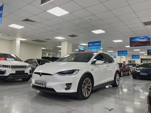 Tesla Model X 2019