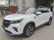 Wuling Xingchen 2023
