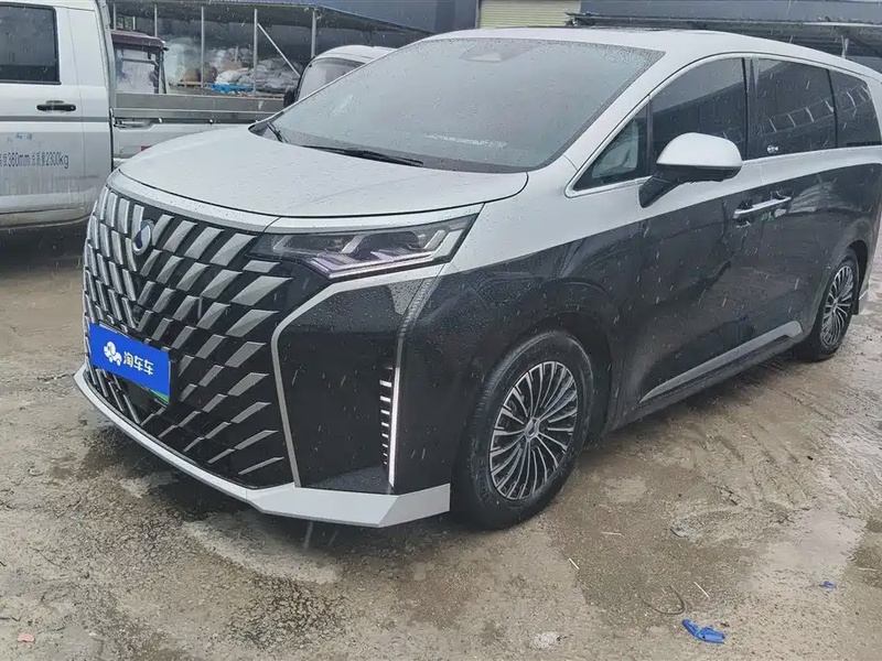 Denza D9