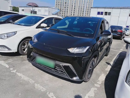 BYD Seagull 2024