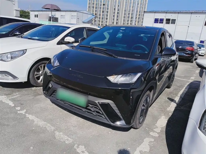 BYD Seagull