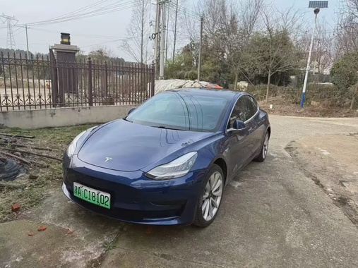 Tesla Model 3 2020