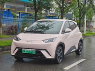 BYD Seagull 2024