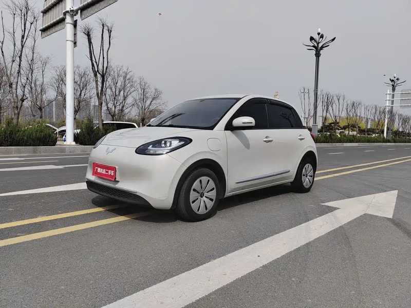 Wuling Bingo