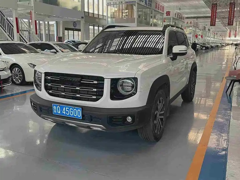 Haval Big Dog