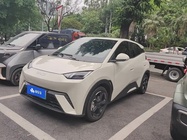 BYD Seagull 2024