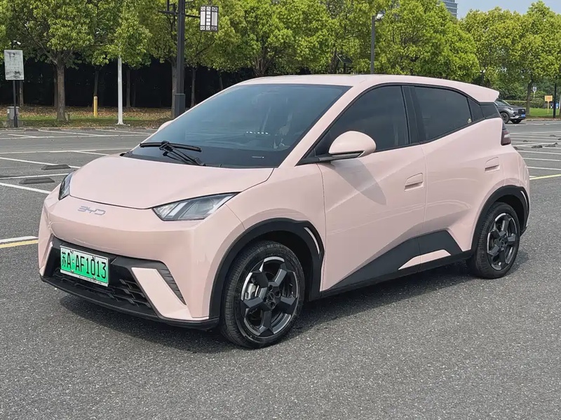 BYD Seagull