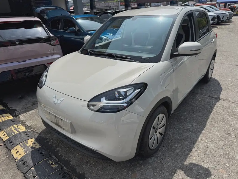 Wuling Bingo