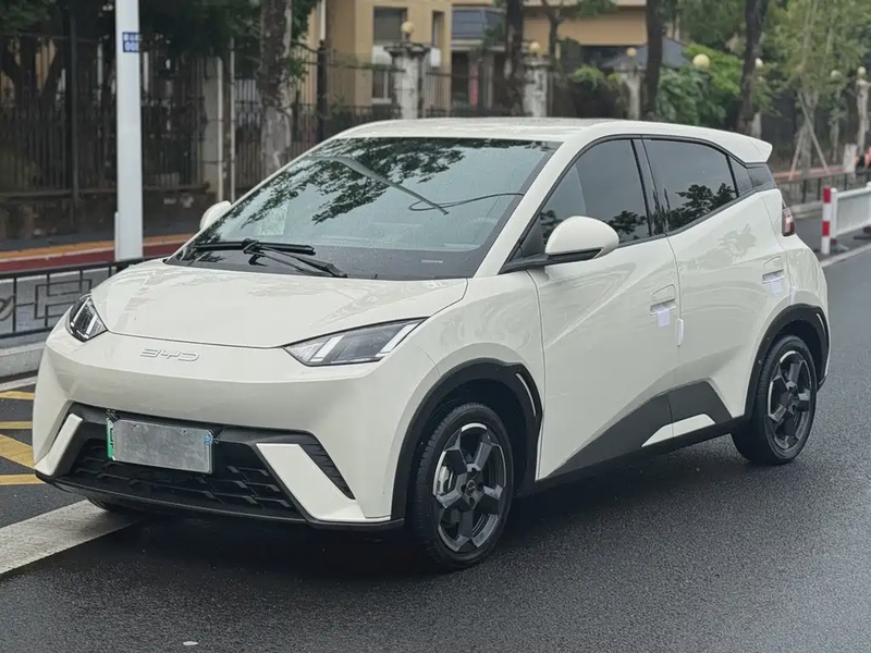 BYD Seagull