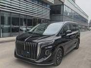 Hongqi HQ9 2024