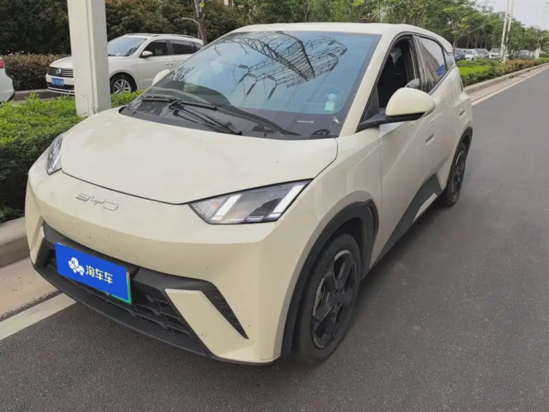 BYD Seagull