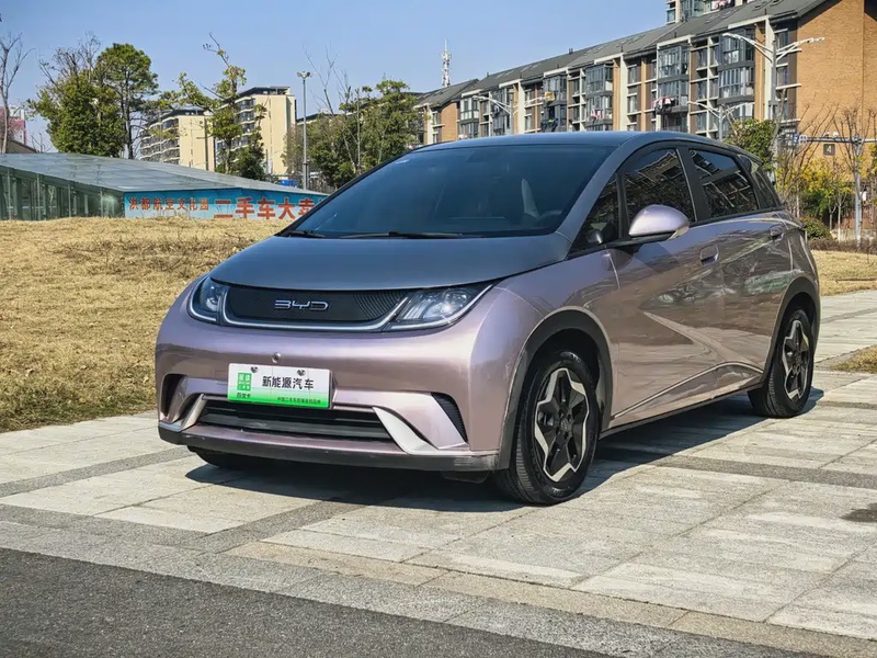 BYD Dolphin