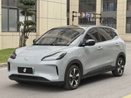 Wuling Bingo 2024