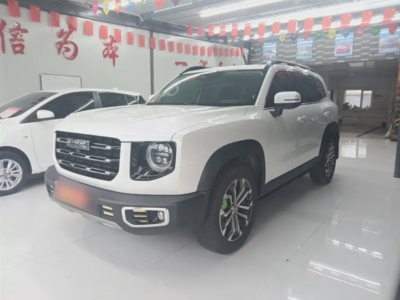 Haval Big Dog