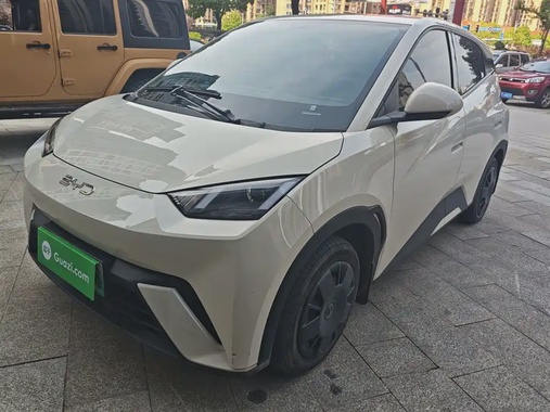 BYD Seagull 2024