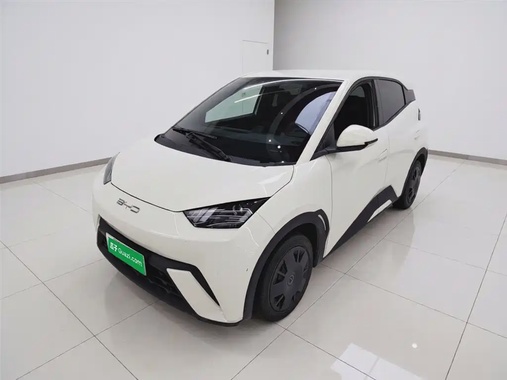 BYD Seagull 2024
