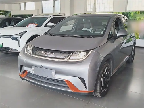 BYD Dolphin 2022