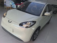 Wuling Bingo 2023