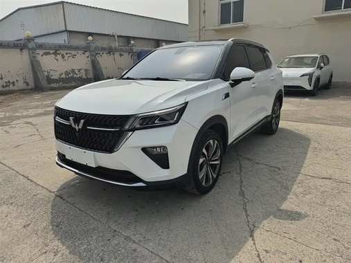 Wuling Xingchen 2022