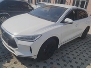 BYD e2 2020