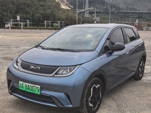 BYD Dolphin 2024