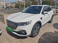 Hongqi HS5 2021