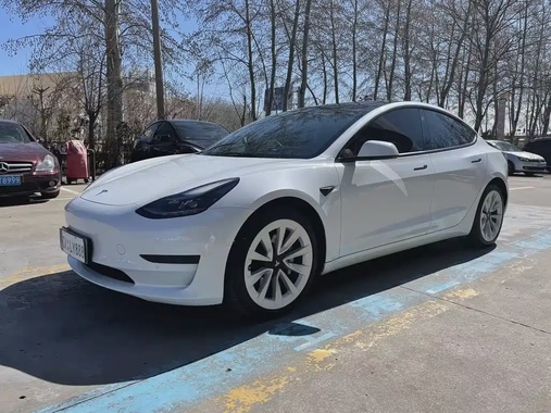 Tesla Model 3 2021