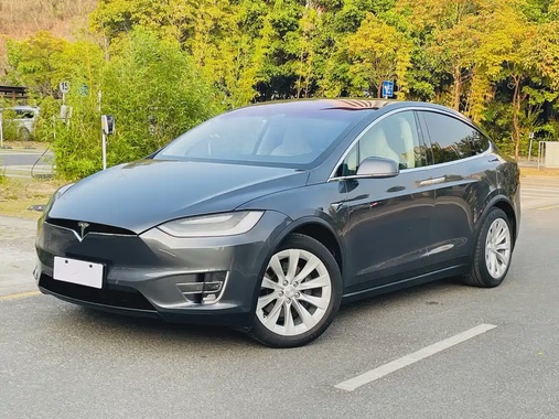 Tesla Model X 2019