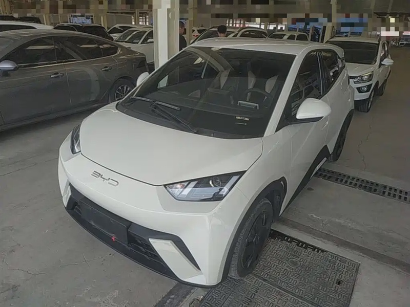 BYD Seagull