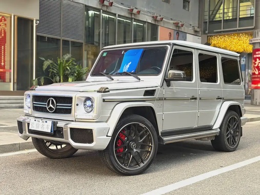Mercedes-Benz G-Class 2010
