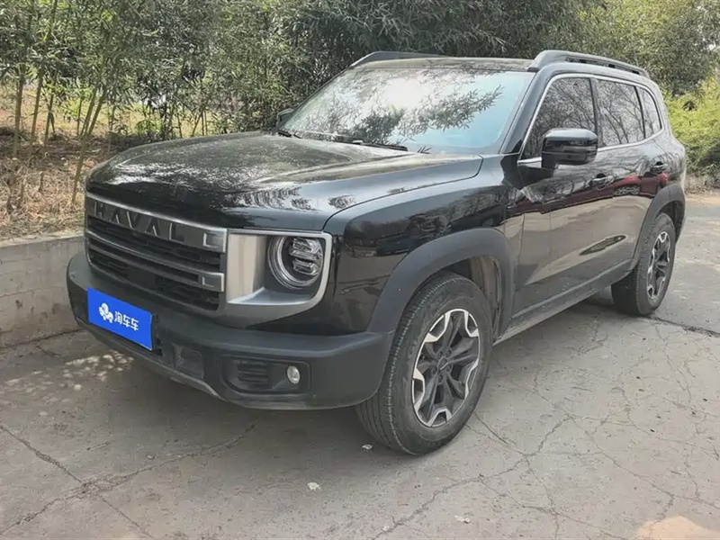 Haval Big Dog