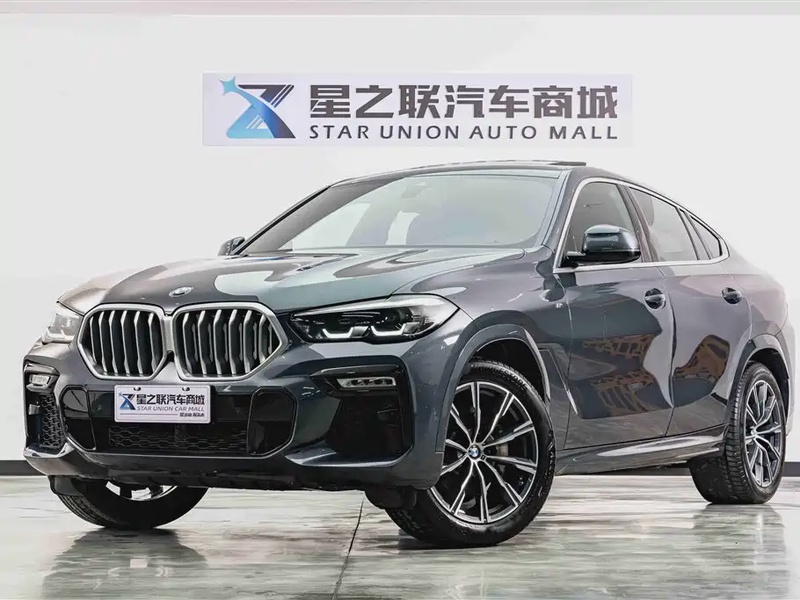 BMW X6