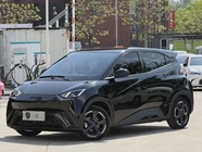 BYD Seagull 2023