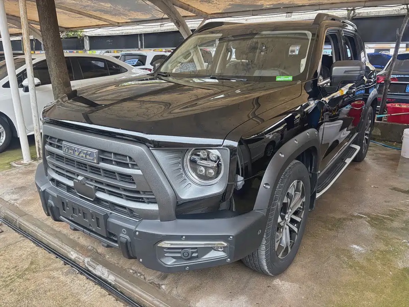 Haval Big Dog
