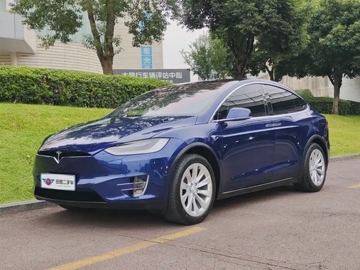 Tesla Model X 2019
