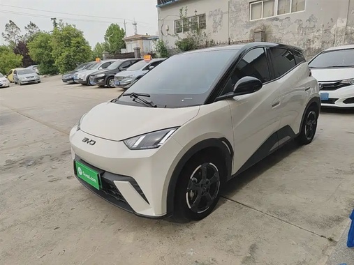 BYD Seagull 2024